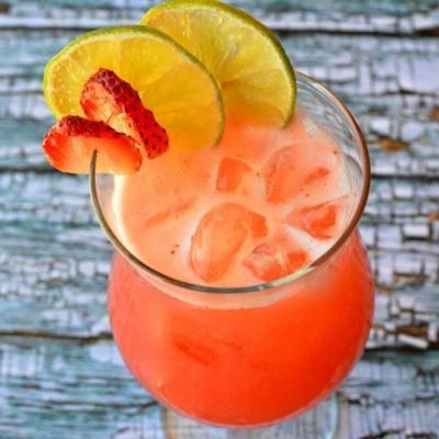 mexicaans aardbei water (agua de fresa)