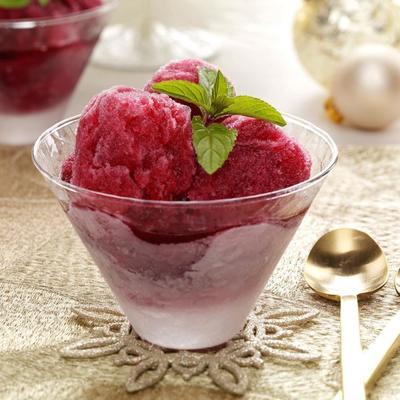 cranberry-champagne granita