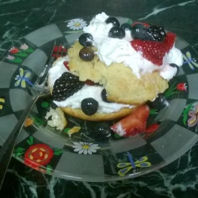 zomerfruit shortcakes