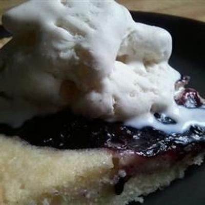 blauwe bosbessgesp shortcake van blubaugh