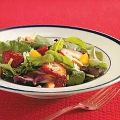 susan's spectrum salade