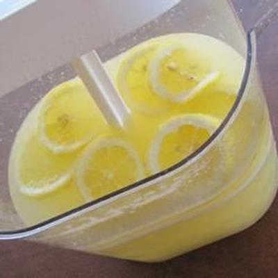plantage-achtige vanille limonade