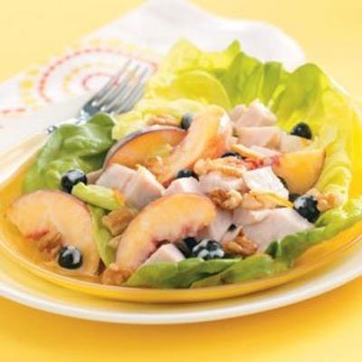 bosbessen kalkoen salade