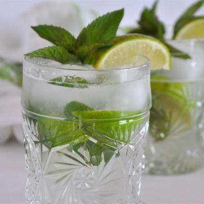 de echte mojito