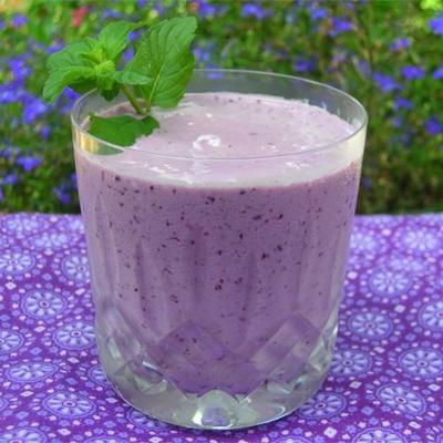 zeer bessen bosbessen smoothie