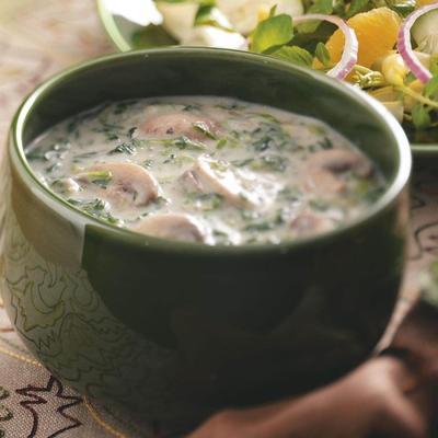 room van spinazie en champignonsoep