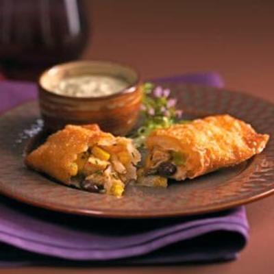zuidwestelijke loempia! met avocado, koriander, ranch dip