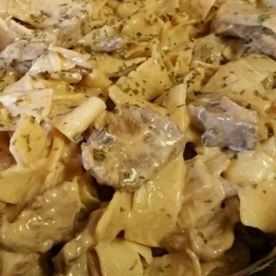 de keuken beef stroganoff van campbell