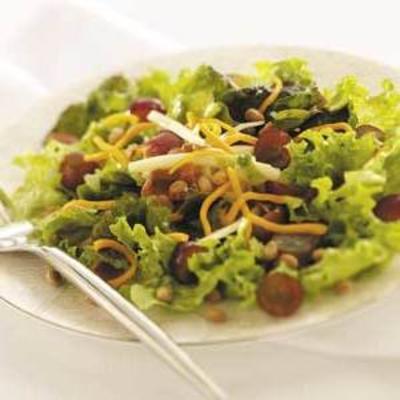 silverglade salade