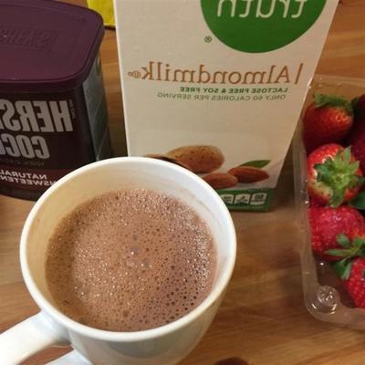 heerlijke veganistische warme chocolademelk