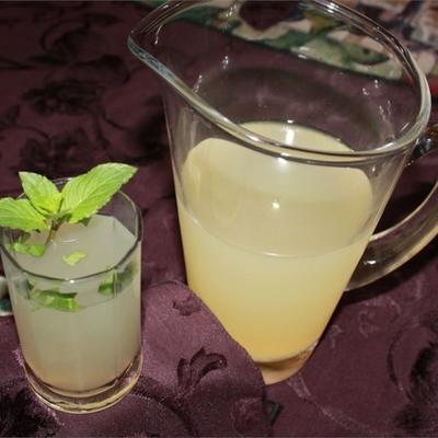 meyer limonade met munt