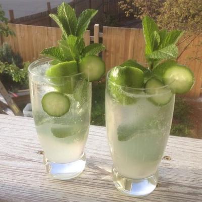 munt-komkommer mojito's