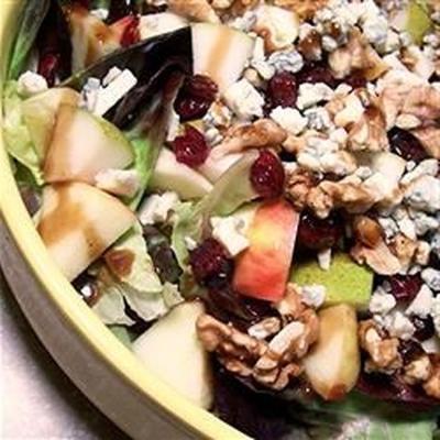 appel-cranberry salade