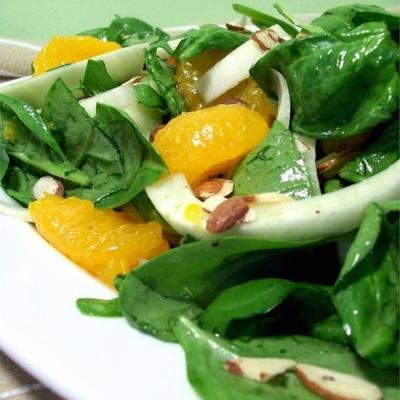 oranje-venkel salade