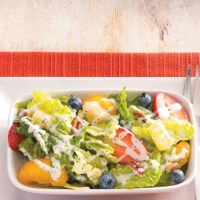 aardbei zomer slaatje