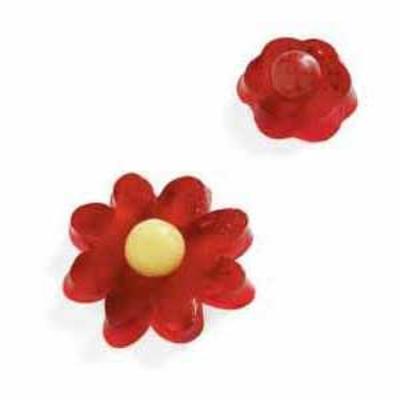 kersen gelatine bloemen