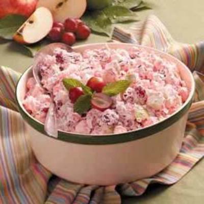feestelijke vakantie cranberry salade
