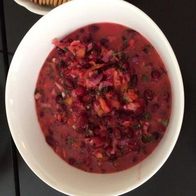 grammie's cranberry salsa