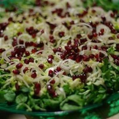 winter andijvie salade