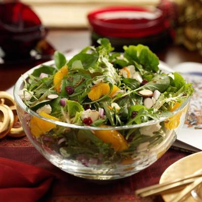 eenvoudige cranberry en groene salade