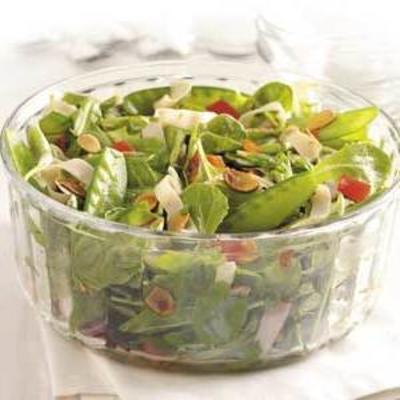 teriyaki kalkoensalade