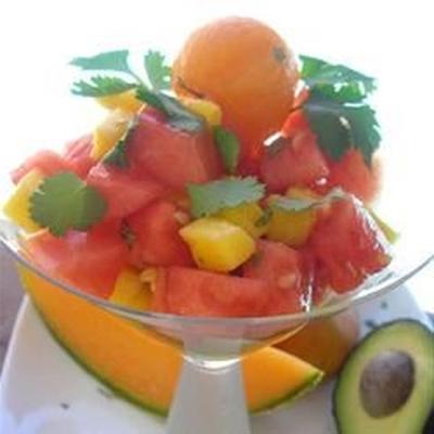 meloen, mango en avocado salade