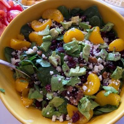 cranberry, geglaceerde walnoot, sinaasappel, avocado en blauwe kaassalade