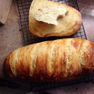 pain de campagne - land frans brood