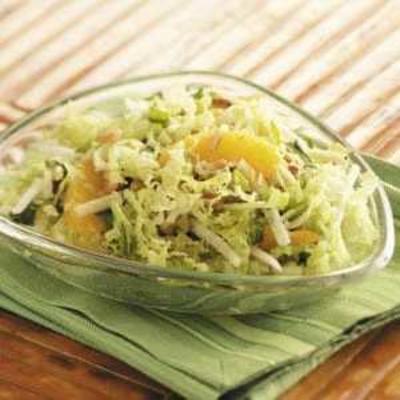 Aziatische gember slaw