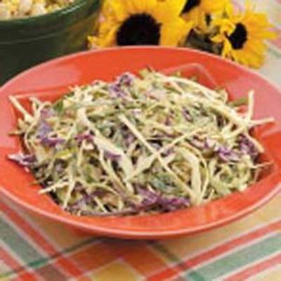 zelfgemaakte coleslaw dressing