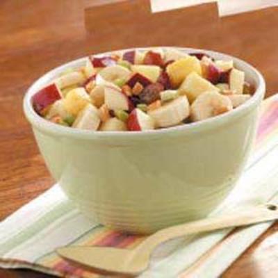 fruitige appel salade