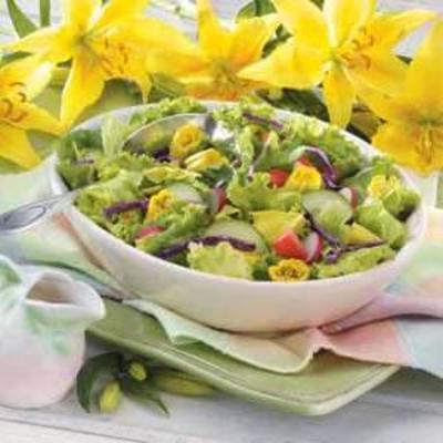daglelie salade
