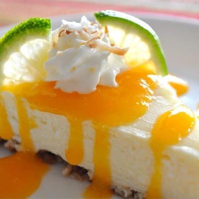 kokosnoot-limoen cheesecake met mango coulis