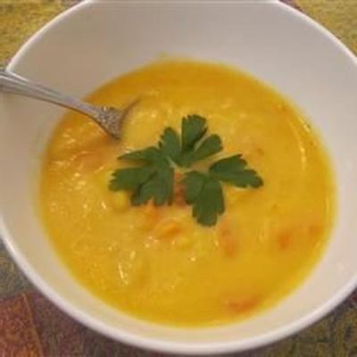 dylan's aardappel, wortel en cheddar soep