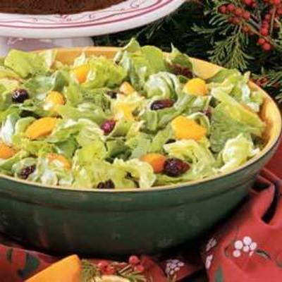 sinaasappel-cranberry gooide salade