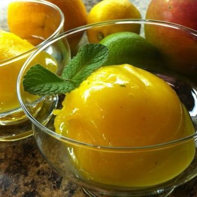 mango tango sorbet