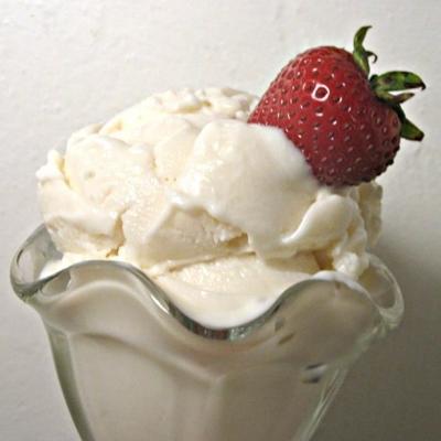 vanille bevroren yoghurt