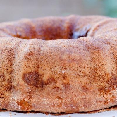 papaverzaad bundt cake i