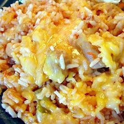 salsafied kip en rijst