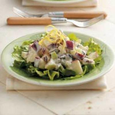 heerlijke appel salade