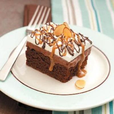 chocolade cake met laag vetgehalte