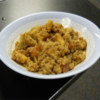 quinoa-pap met kaneelappels