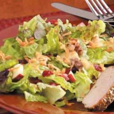 salade met vruchtensap dressing