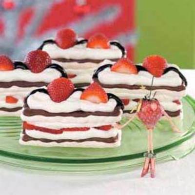aardbeien meringue chocolade torte