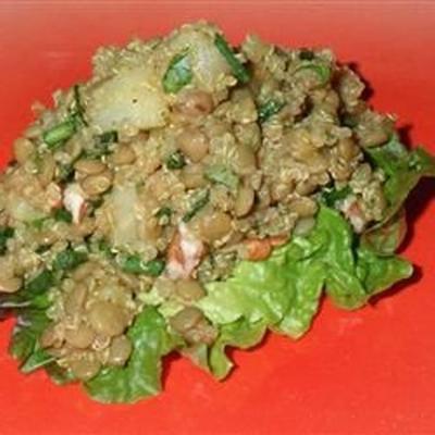 fruitige curried linzensalade