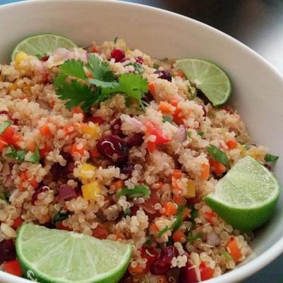 cranberry en koriander quinoa salade