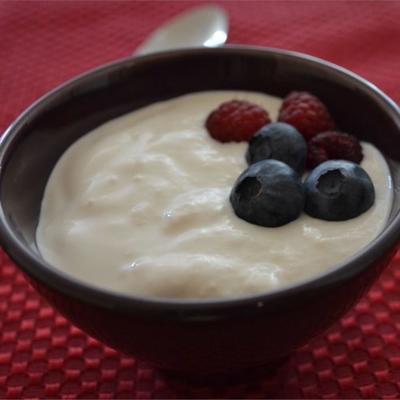 authentieke zelfgemaakte yoghurt