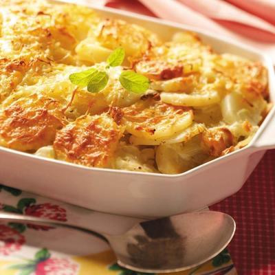 aardappel venkelgratin