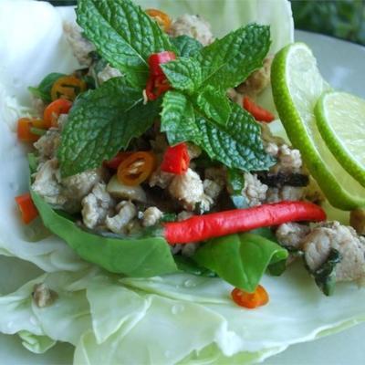 larb - laotiaans kippengehakt