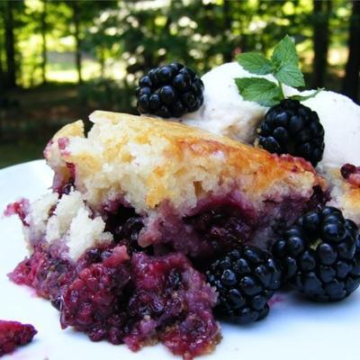 baron's blackberry schoenmaker